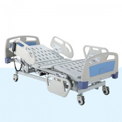 Five Functions Electric Bed